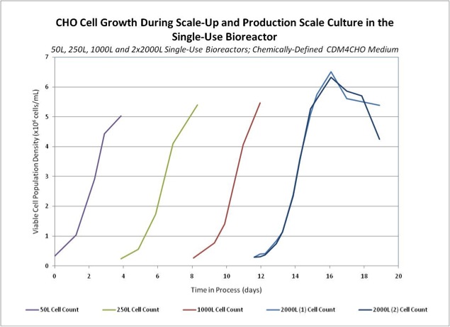 3b CHO Cell Growth During Scale Up