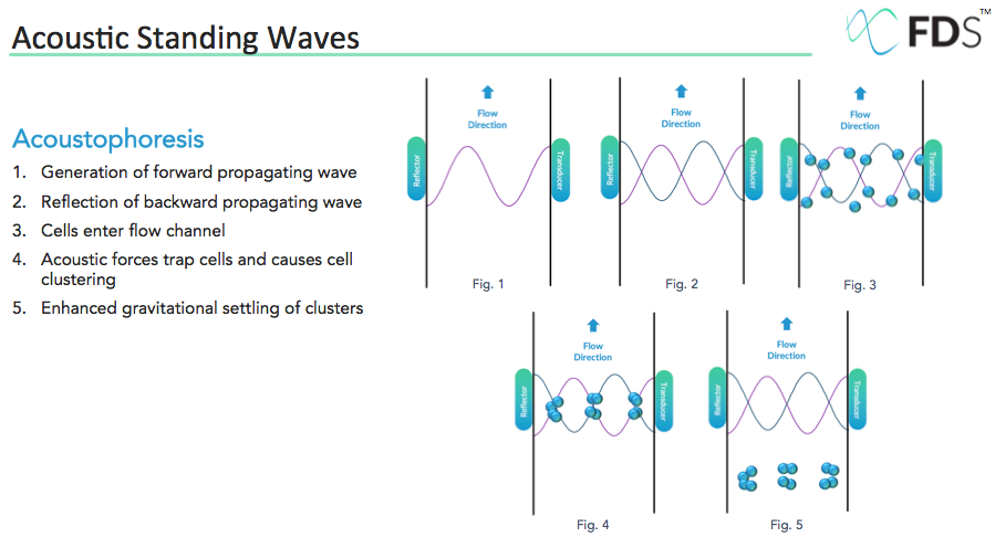 Acoustic cell processing technology applies a macro scale long wavelength standing wave to manipulate cells and other particles in suspension