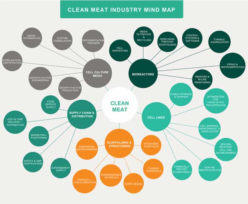Clean meat mind map