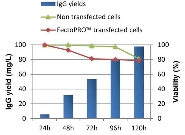 FectoPRO leads to high cell viability in suspension CHO cells.
