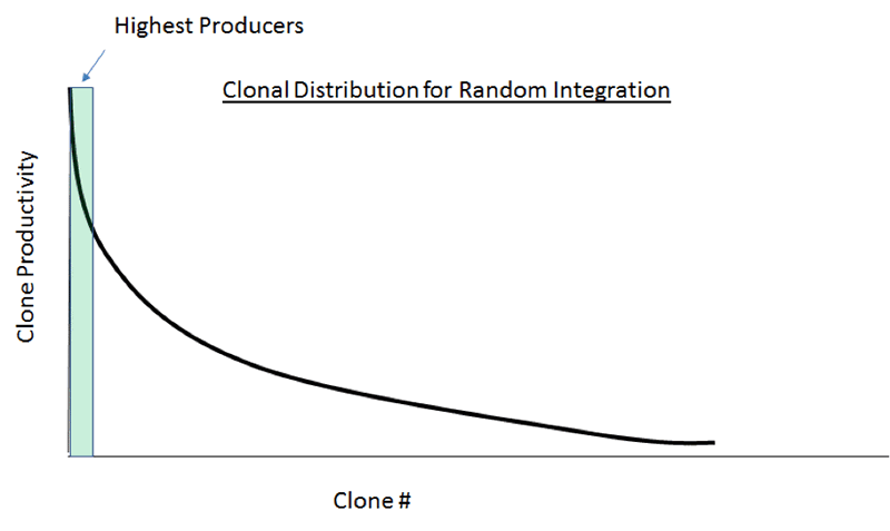 Figure-1 Clonal distribution from random integration