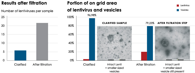 downstream purification steps affected the integrity of the lenti particles in some cases