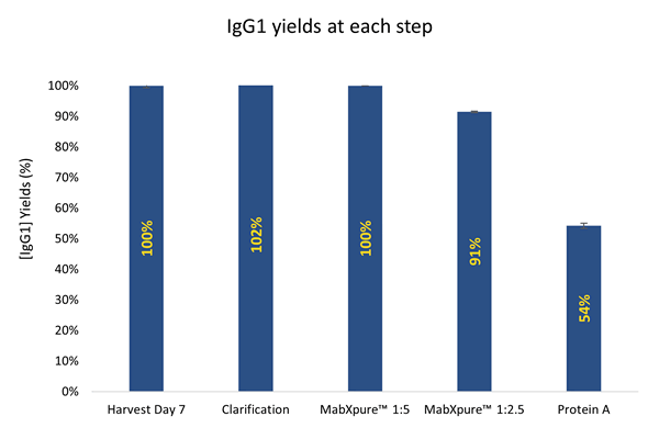 Figure 2: IgG1 yields/recoveries are significantly higher when using MabXpure™ resin compared to Protein A resin, with all recoveries higher than 90 %.