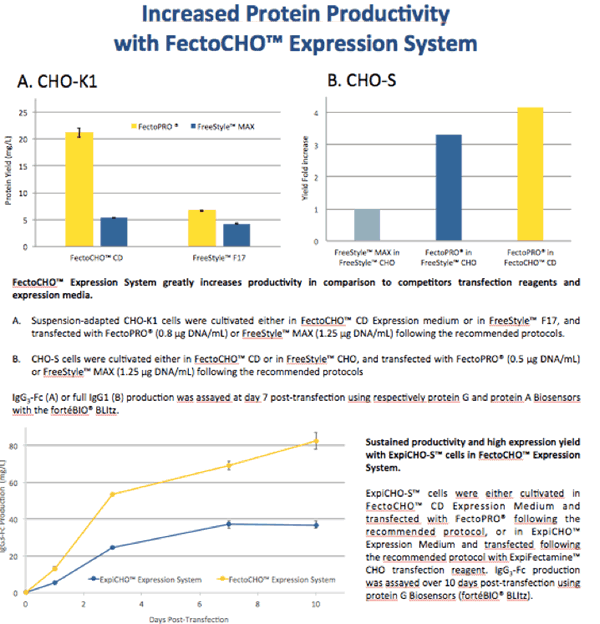 FectoPRO® transfection reagent increased protein productivity by at least 2-fold in all CHO cell lines tested