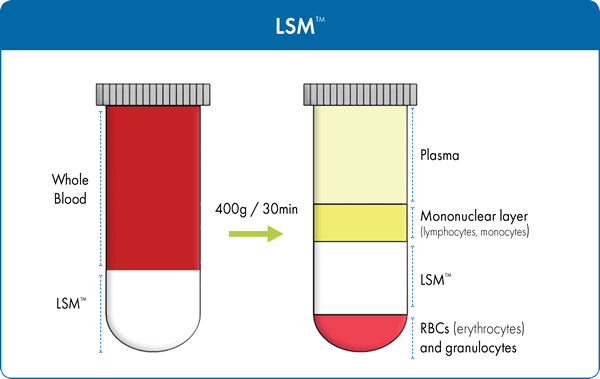 Figure 1 Isolation of mononuclear cells from whole blood using LSM