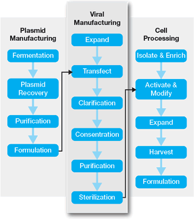 Figure 2. Example of 3 manufacturing platforms for the generation of modified cells for ex vivo gene therapy via viral vectors produced by transfection.