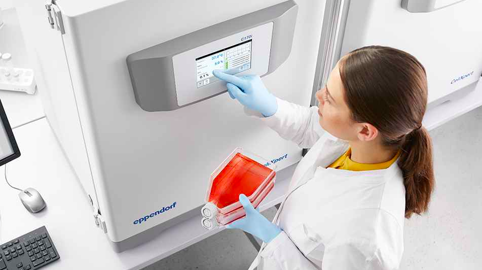What Is The Role Of Co2 In Cell Culture CO2 laboratory incubator