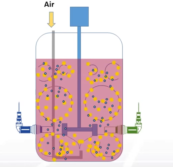 Video Tutorial Understanding the Role of Dissolved Oxygen and Carbon