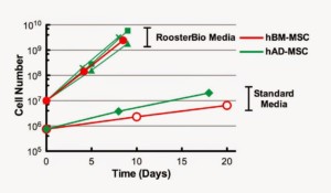 Figure 1: hAD-MSCs have similar expansion and doubling time to hBM-MSCs in RoosterBio High Performance Media.