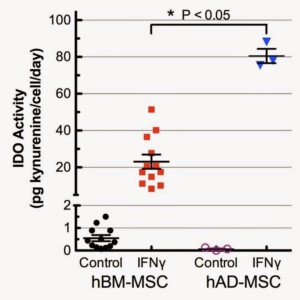 Figure 3: hAD-MSC display more robust immuno- modulatory activity than hBM-MSCs.