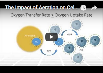 impact-of-aeration-on-cell-culture-optimization