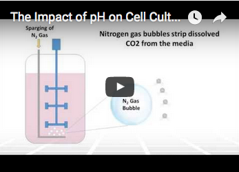 impact-of-ph-on-cell-culture-in-bioreactors