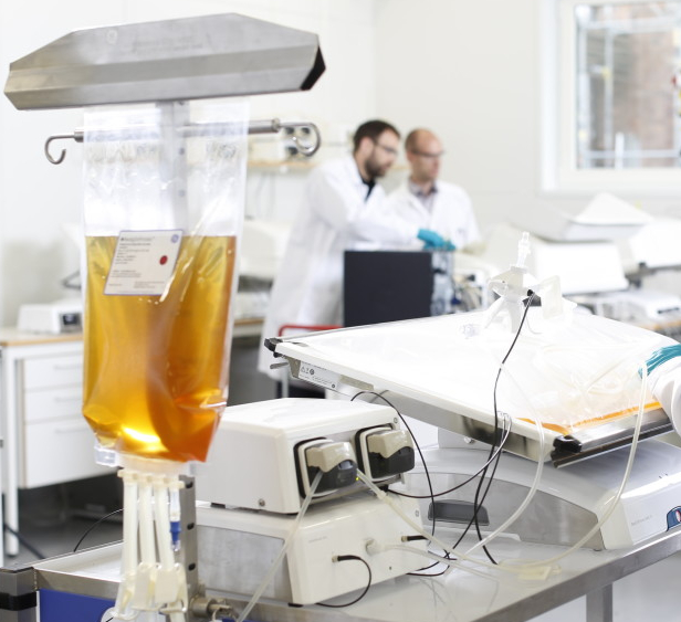 Upstream Continuous Process Perfusion Culture