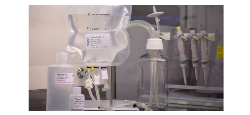 Transfection Reagent Portfolio Enables Seamless Scalability from R&D to