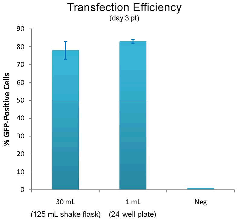 ExpiFectamine Transfection Efficiencies