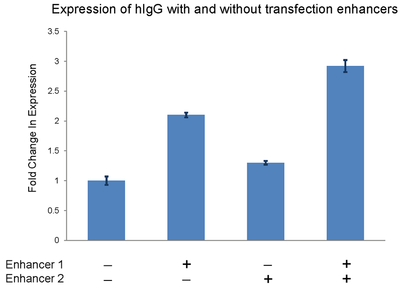 ExpiFectamine Transfection Enhancers Increase Expression Levels