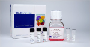 CellXVivo™ Immune Cell Differentiation Kits.