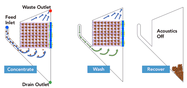 Acoustic Cell Processing Concentrate Wash and Recover Steps