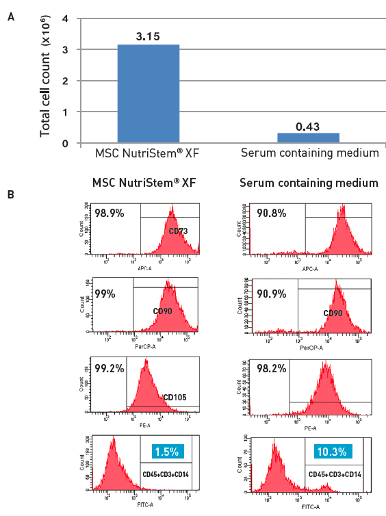 Evaluation of hMSC-BM isolation using MSC NutriStem® XF vs. FBS containing medium