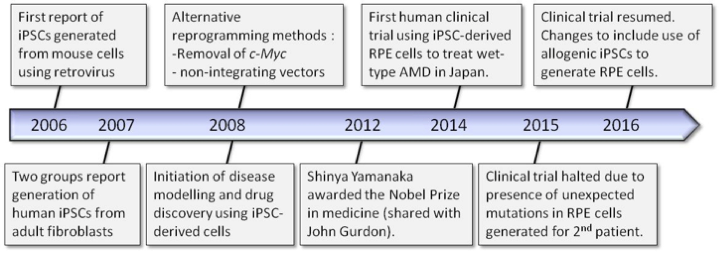 Induced Pluripotent Stem Cells Timeline