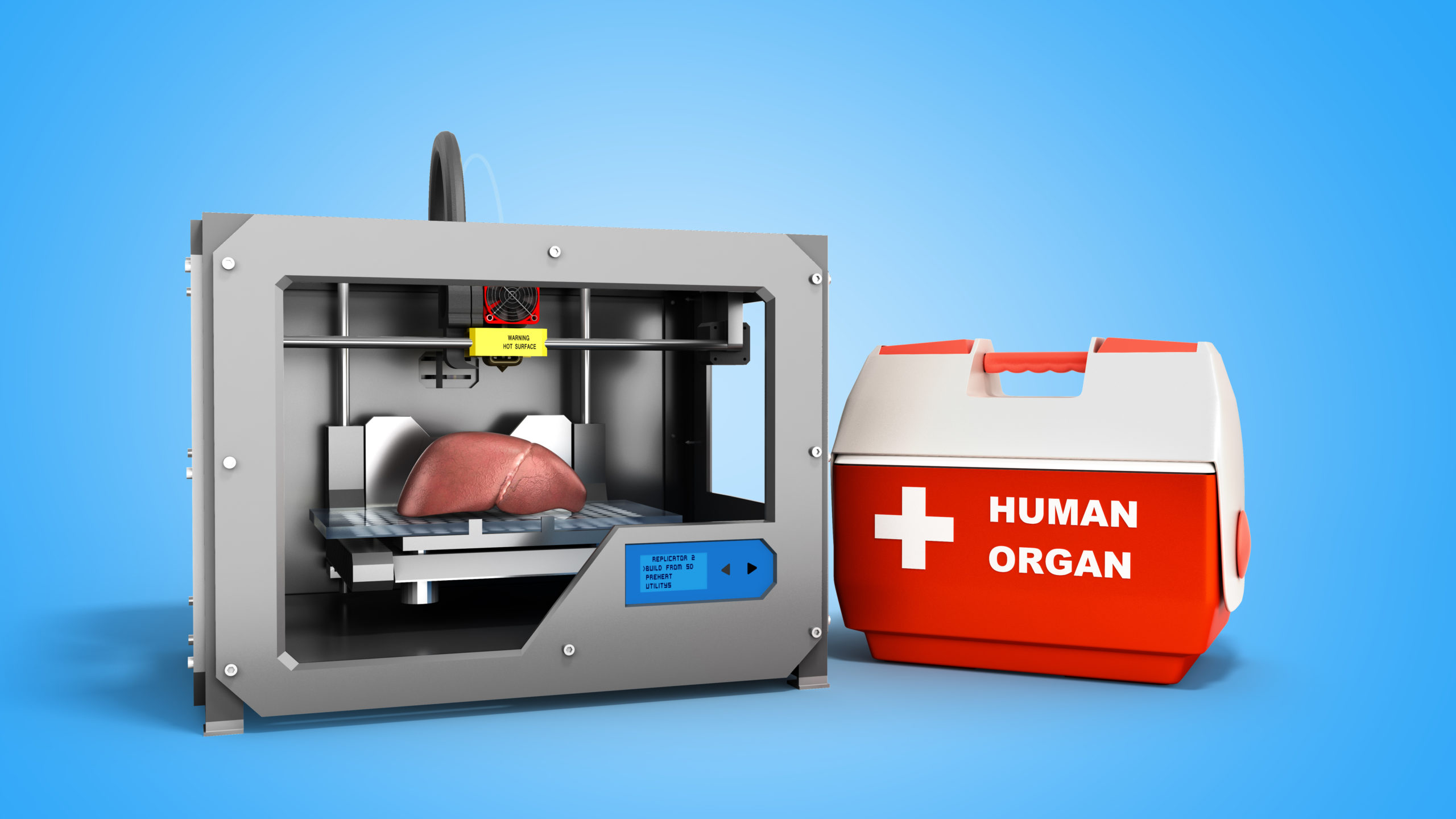 to Facilitate 3D of Transplantable Organs