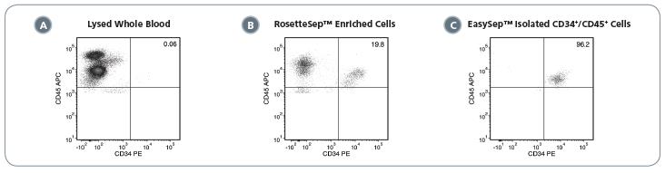 Typical Performance of the EasySep™ Complete Kit for Human Whole Blood CD34+ Cells