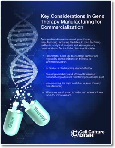 Key Considerations in Gene Therapy Manufacturing for Commercialization