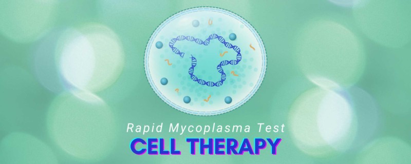Qualification of a Rapid In-house PCR-based Mycoplasma Assay for Screening of Cell Therapy Products