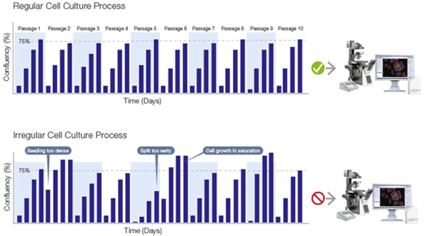 Figure 5: Monitoring Cell Growth Ensures a Standardized Process