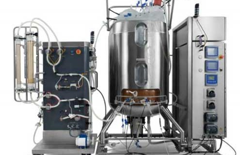 洋書 BIOREVERSIBLE CARRIERS IN DRUG DESIGN Dextran Vesicular Carriers for Dual Encapsulation of