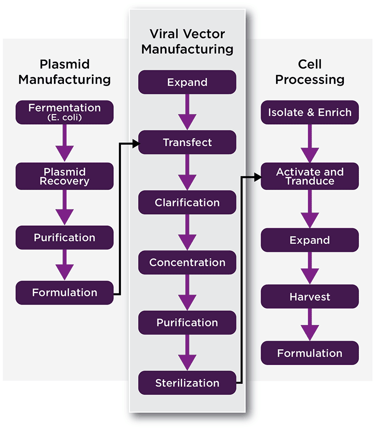 Example of 3 manufacturing platforms for the generation of modified cells for ex vivo gene therapy via viral vectors produced by transfection.