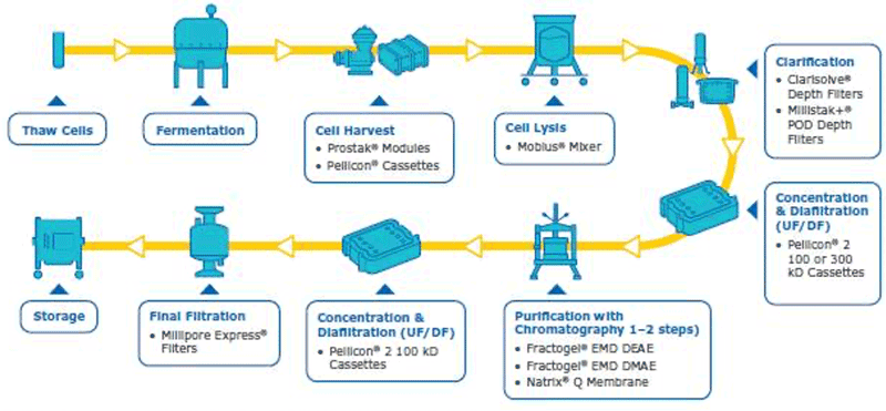 Integrated workflow with capabilities for pDNA purification from harvest to final fill