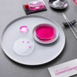 The art and science of cell food