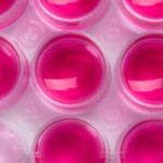 Cell Culture Advancements and Opportunities for Future Improvement