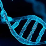 Cell Culture Media Analysis for Gene Therapy