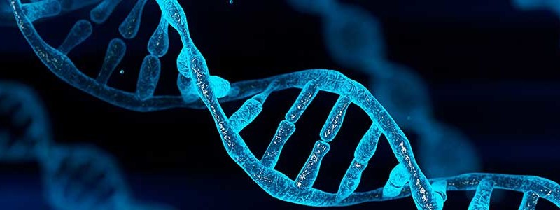Cell Culture Media Analysis for Gene Therapy