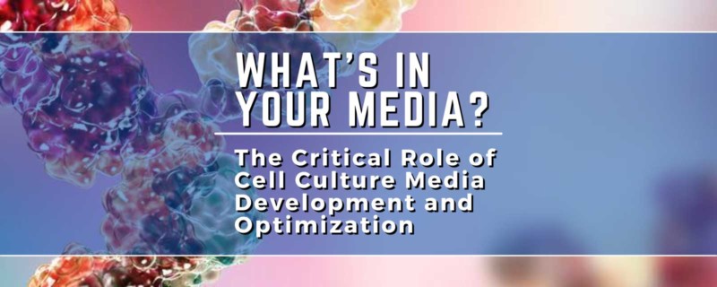 The Critical Role of Cell Culture Media Development and Optimization