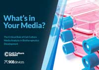 What's In Your Media eBook