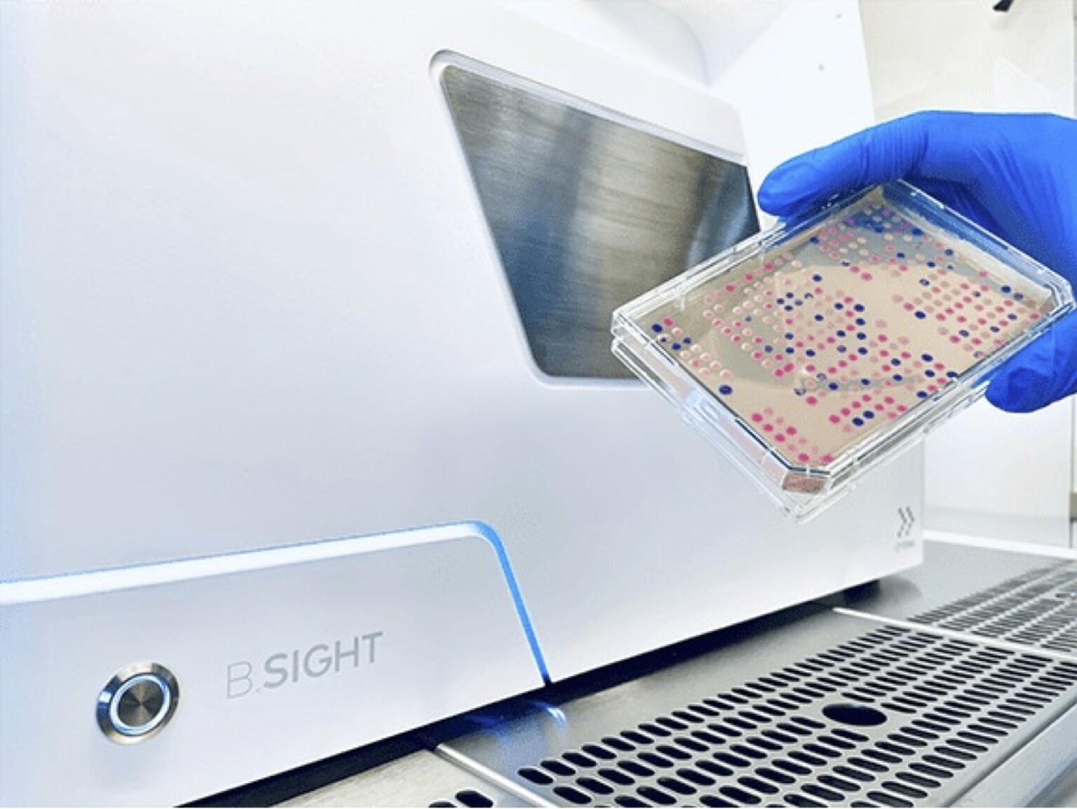 Accelerate Your Bacterial And Yeast Isolation Workflows With The B ...