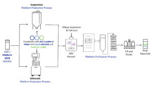 Accelerating the Cell and Gene Therapy Journey with Plug-and-Play Viral ...