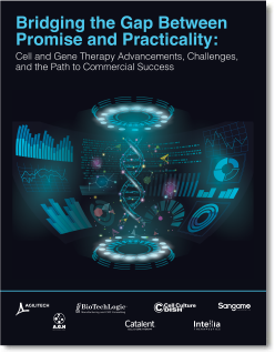 Bridging the Gap Between Promise and Practicality White Paper