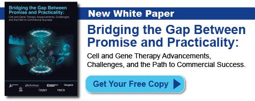 Signup for our email list to receive a free PDF version of the Bridging the Gap Between Promise and Practicality white paper