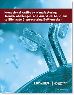 Monoclonal Antibody Manufacturing Trends, Challenges, and Analytical Solutions to Eliminate Bioprocessing Bottlenecks