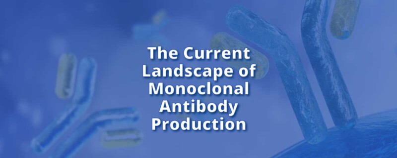 The Current Landscape of Monoclonal Antibody Production