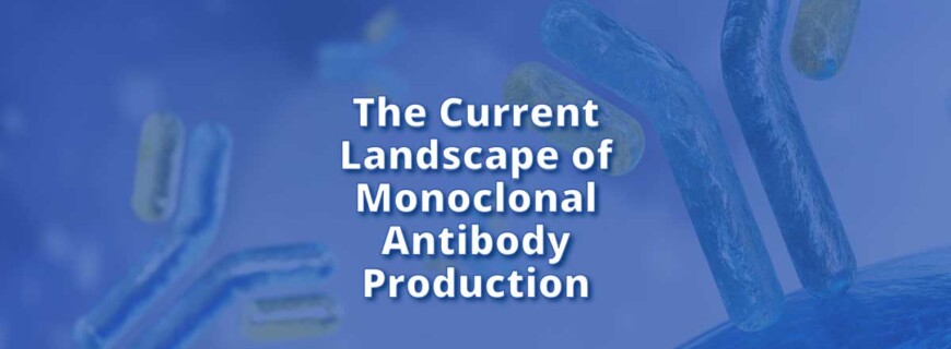 The Current Landscape of Monoclonal Antibody Production